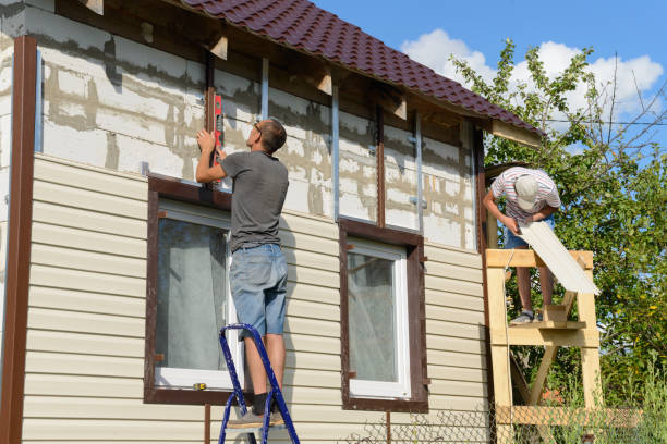 Best Brick Veneer Siding  in Ness City, KS