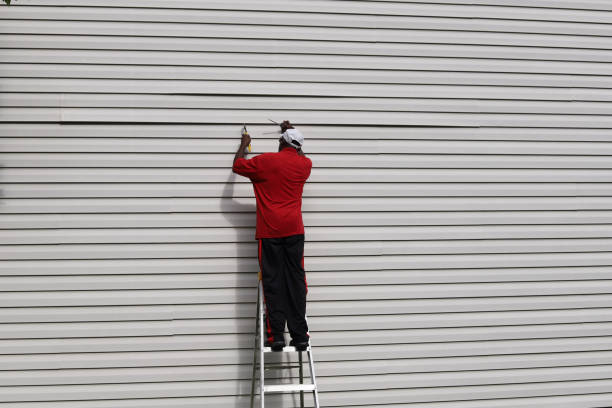 Best Siding Painting and Refinishing  in Ness City, KS